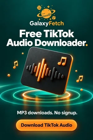 Download TikTok Video Into an MP3 Ad