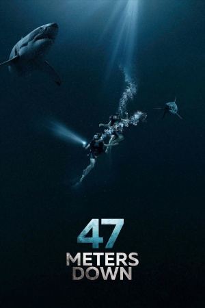47 Meters Down 2017 BluRay [Hindi + English] 480p, 720p ESub