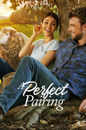 A Perfect Pairing 2022 WebDl [Hindi + English] 480p, 720p ESub