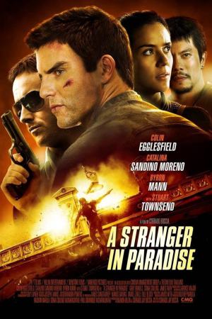 A Stranger in Paradise 2013 BluRay [Hindi + Tamil + English] 480p, 720p, 1080p ESub