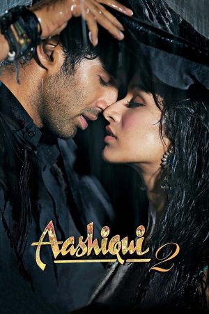 Aashiqui 2 2013 BluRay [Hindi] 480p, 720p ESub