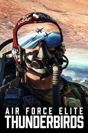 Air Force Elite: Thunderbirds 2025 WebRip [Hindi + English] 480p 720p ESub