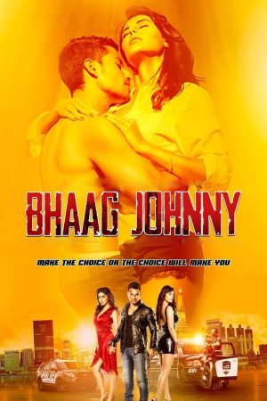 Bhaag Johnny 2015 WebRip [Hindi] 480p, 720p