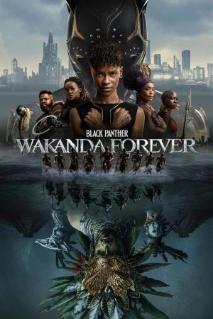 Black Panther: Wakanda Forever 2022 BluRay [Hindi + Tamil + Telugu + Malayalam + English] 480p, 720p, 1080p ESub