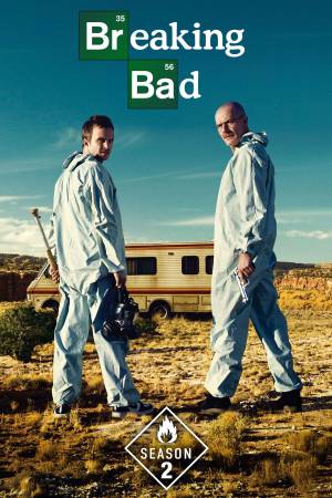 Breaking Bad (2009) Season 2 [Hindi + English] BluRay 480p 720p ESub - Complete