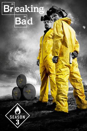 Breaking Bad (2010) Season 3 [Hindi + English] BluRay 480p 720p ESub - Complete