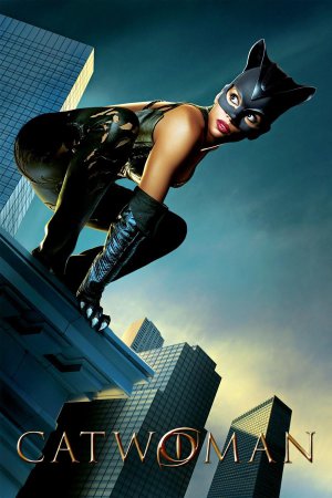 Catwoman 2004 BluRay [Hindi + English] 480p, 720p, 1080p ESub