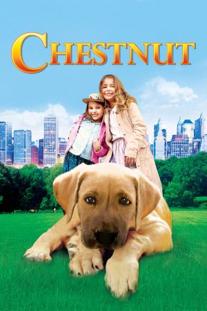 Chestnut: Hero of Central Park 2004 HDTv [Hindi + English] 480p, 720p ESub