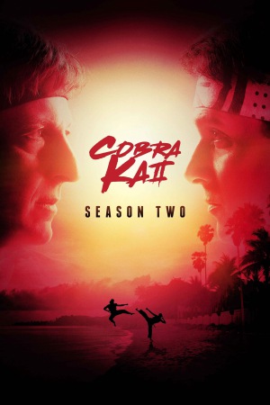 Cobra Kai (2019) Season 2 [Hindi + English] WebRip 480p 720p ESub - Complete