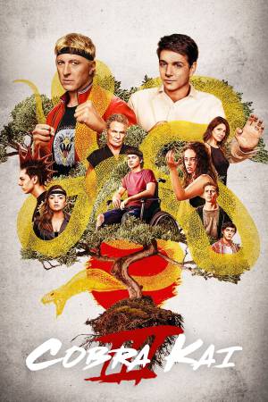 Cobra Kai (2021) Season 3 [Hindi + English] WebRip 480p 720p ESub - Complete