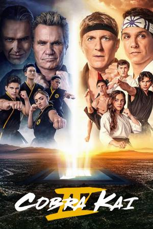 Cobra Kai (2021) Season 4 [Hindi + English] WebRip 480p 720p ESub - Complete