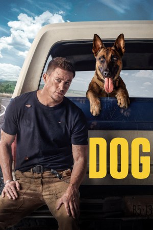 Dog 2022 WebRip [Hindi + Tamil + Telugu + English] 480p, 720p ESub