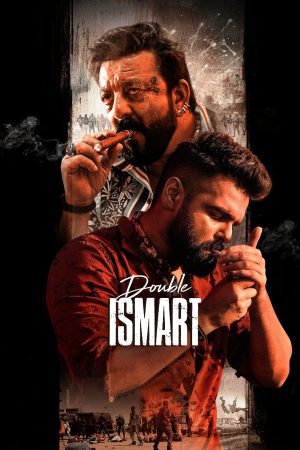 Double iSmart 2024 WebRip [Hindi] 480p, 720p