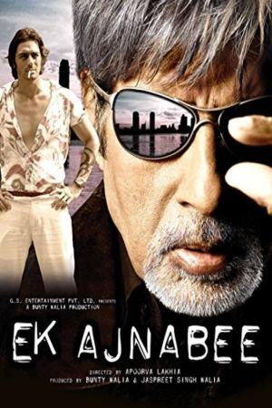 Ek Ajnabee 2005 WebRip [Hindi] 480p, 720p ESub
