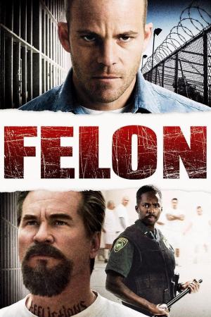 Felon 2008 BluRay [Hindi + English] 480p, 720p ESub