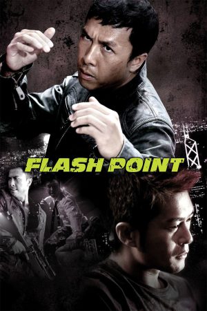 Flash Point 2007 BluRay [Hindi + Chinese] 480p, 720p ESub