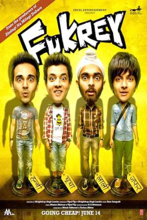 Fukrey 2013 BluRay [Hindi] 480p, 720p ESub