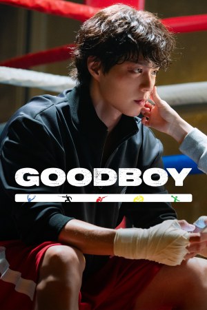 Good Boy (2025) Season 1 [Hindi + English] WebRip 480p 720p ESub - Complete