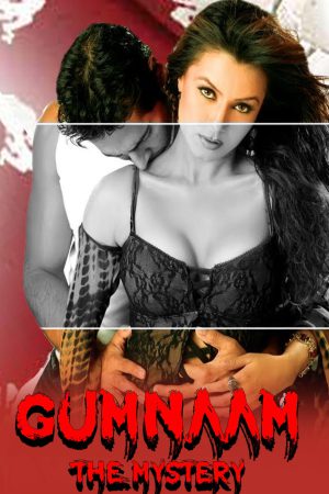 Gumnaam: The Mystery 2008 WebRip [Hindi] 480p, 720p ESub