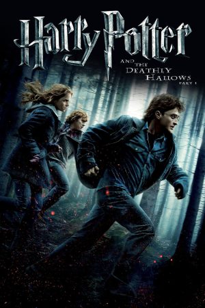 Harry Potter and the Deathly Hallows: Part 1 2010 BluRay [Hindi + Tamil + Telugu + English] 480p, 720p, 1080p ESub