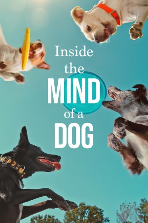 Inside the Mind of a Dog 2024 WebRip [Hindi + English] 480p, 720p ESub