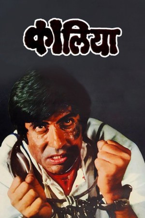 Kaalia 1981 WebRip [Hindi] 480p, 720p ESub