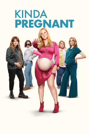 Kinda Pregnant 2025 WebRip [Hindi + Tamil + Telugu + English] 480p, 720p ESub