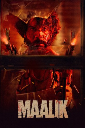 Maalik 2025 WebRip [Hindi] 480p 720p ESub