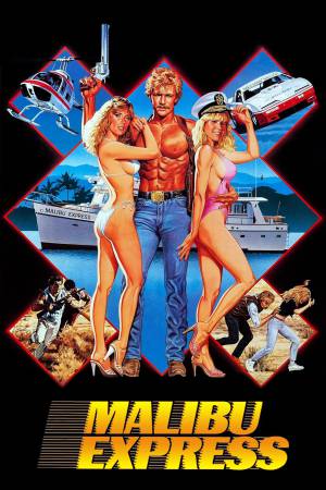 Malibu Express 1985 BluRay [Hindi + English] 480p, 720p