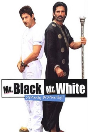 Mr. Black Mr. White 2008 WebRip [Hindi] 480p, 720p