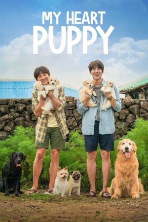 My Heart Puppy 2023 WebRip [Hindi + Tamil + Telugu + Korean] 480p, 720p, 1080p ESub