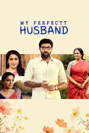 My Perfectt Husband (2024) Season 1 [Hindi + Tamil + Telugu + Malayalam + Kannada] WebRip 480p, 720p ESub - Complete