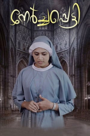 Nerchappetty 2023 WebRip [Malayalam] 480p, 720p ESub
