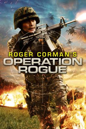 Operation Rogue 2014 WebRip [Hindi + Tamil + English] 480p 720p ESub