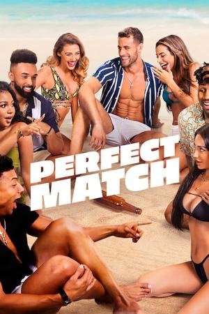 Perfect Match (2023) Season 1 [Hindi + English] WebRip 480p, 720p ESub - Complete