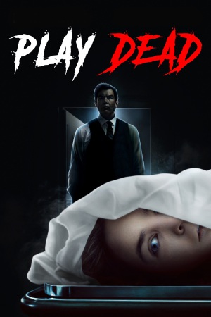 Play Dead 2022 WebRip [Hindi + English] 480p, 720p ESub