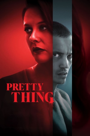 Pretty Thing 2025 WebRip [Hindi + Tamil + Telugu + English] 480p 720p ESub