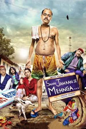 Saare Jahaan Se Mehnga 2013 WebRip [Hindi] 480p, 720p ESub
