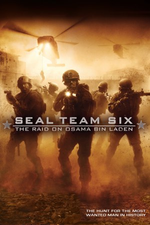 Seal Team Six: The Raid on Osama Bin Laden 2012 BluRay [Hindi + English] 480p, 720p ESub