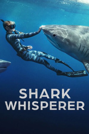 Shark Whisperer 2025 WebRip [Hindi + English] 480p 720p ESub