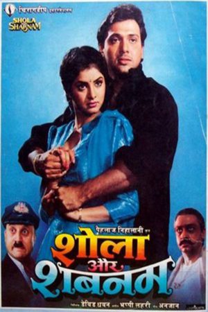 Shola Aur Shabnam 1992 WebRip [Hindi] 480p, 720p ESub