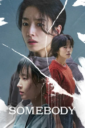 Somebody 2025 WebRip [Hindi + Korean] 480p 720p ESub