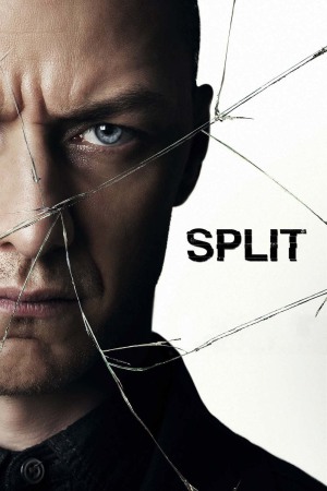 Split 2017 BluRay [Hindi + English] 480p, 720p ESub