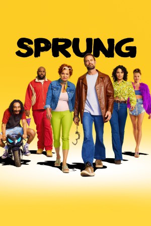 Sprung (2022) Season 1 [Hindi + Tamil + Telugu] WebRip 480p, 720p ESub - Complete