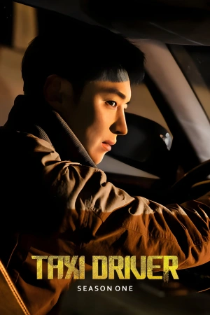 Taxi Driver 2021 WebRip Season 1 [Hindi + Korean] 480p 720p ESub
