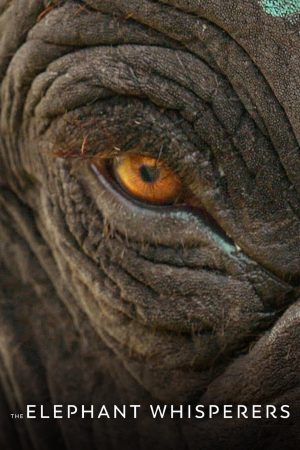 The Elephant Whisperers 2022 WebRip [Hindi + Tamil + Telugu] 480p, 720p, 1080p ESub