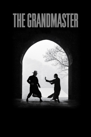 The Grandmaster 2013 BluRay [Tamil + Chinese] 480p, 720p, 1080p ESub