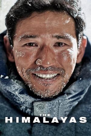 The Himalayas 2015 BluRay [Hindi + Korean] 480p, 720p ESub