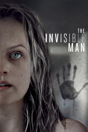 The Invisible Man 2020 BluRay [Hindi + English] 480p, 720p ESub