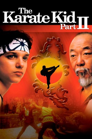 The Karate Kid Part II 1986 BluRay [Hindi + Tamil + Telugu + English] 480p, 720p ESub